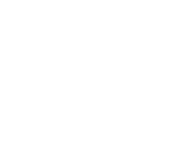 PM Travel